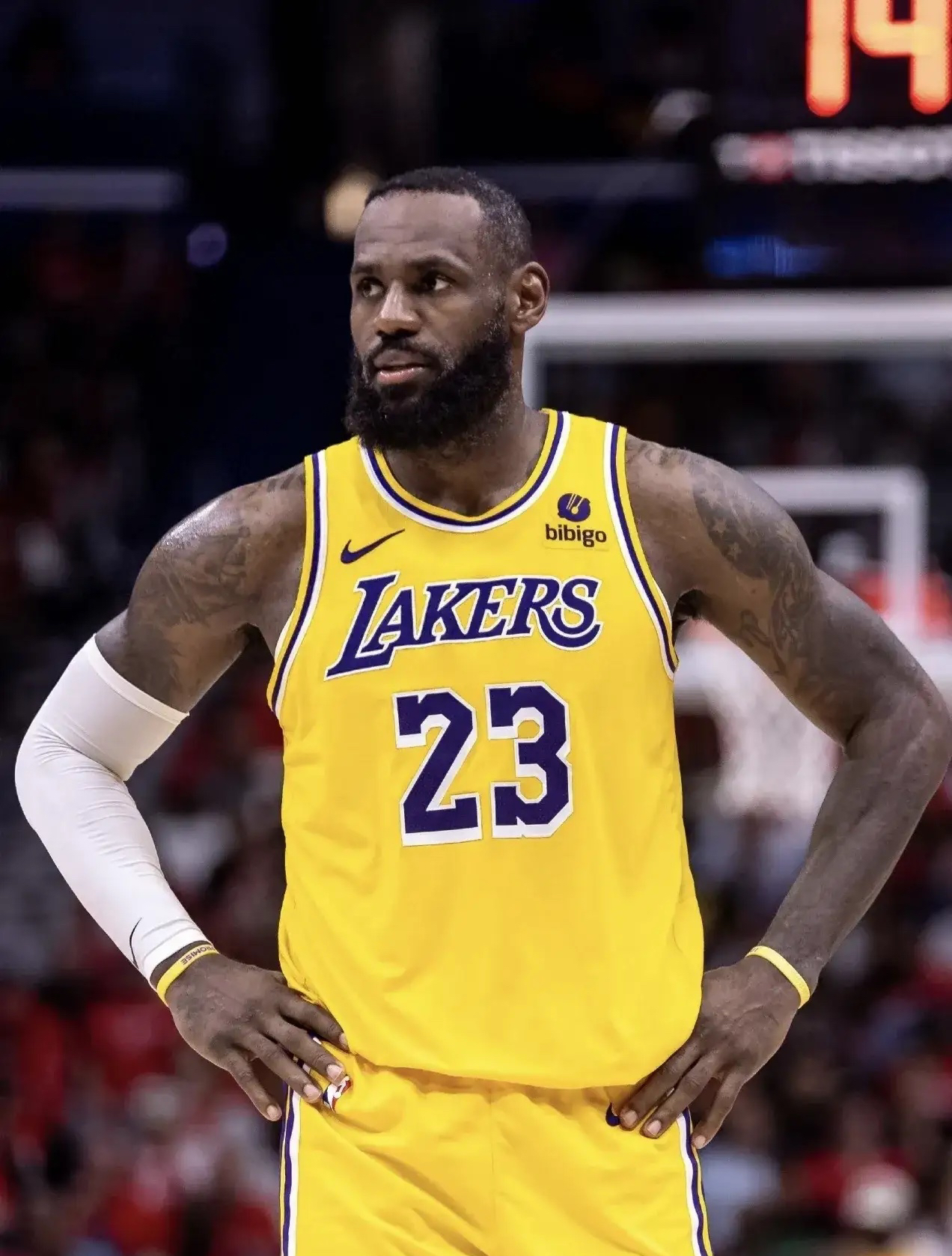 包含NBA常规赛赛程吃紧，奥兰多魔术赛前绝杀压哨，悬念犹存，球队文化再被提及的词条-九游体育app